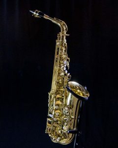 แซคโซโฟน Coleman Alto Saxophone Gold เต็มตัว