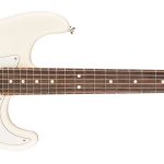 Fender American Professional Stratocaster HH ShawBucker ขายราคาพิเศษ