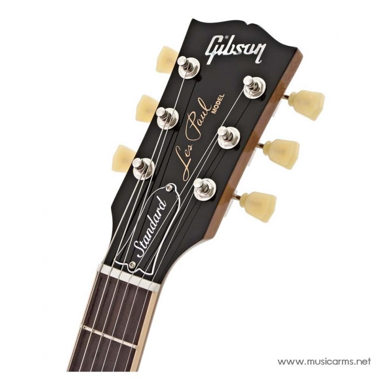 Gibson Les Paul Standard 50s head ขายราคาพิเศษ
