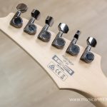 Ibanez RG421 MSP กีต้าร์ ขายราคาพิเศษ