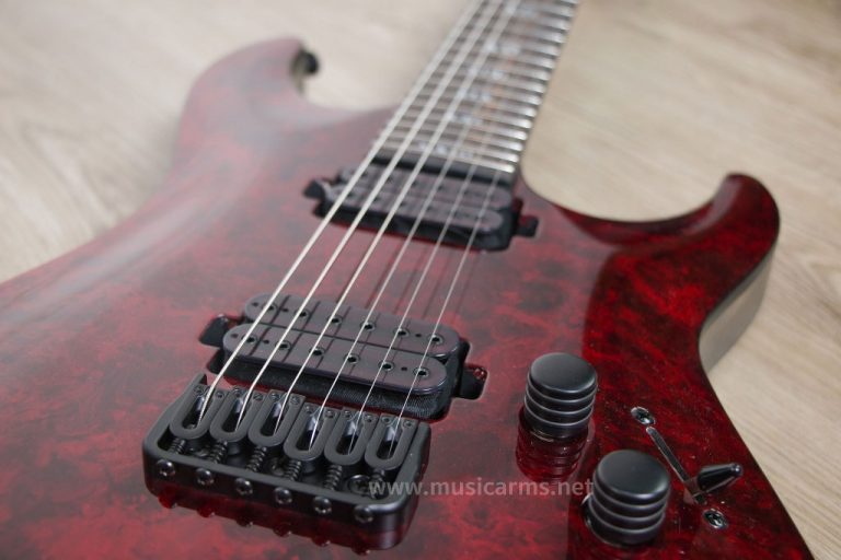 Schecter C-1 Apocalypse ขายราคาพิเศษ