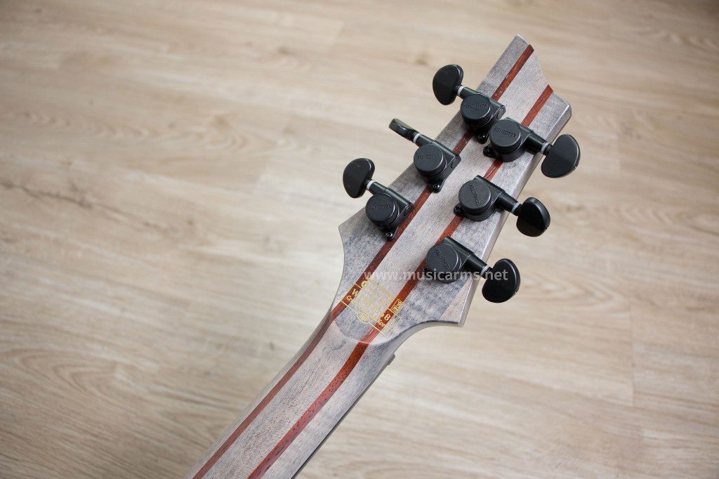 Schecter C-1 Apocalypse