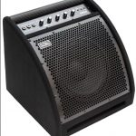 Soundking DS-30b ลดราคาพิเศษ