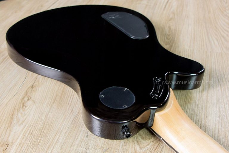 Framus D series Panthera Pro 7 back ขายราคาพิเศษ