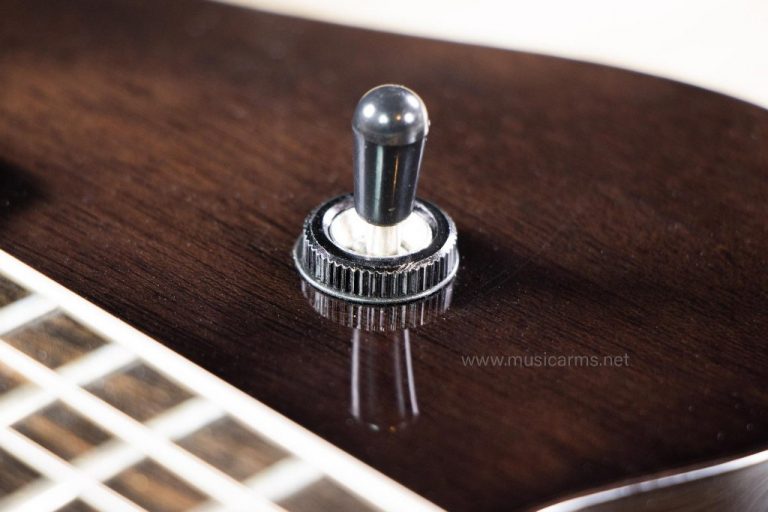 Framus D series Panthera Pro 7 switch ขายราคาพิเศษ