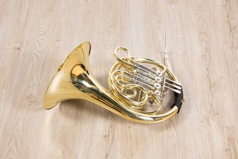 เฟรนช์ฮอร์น French Horn full body ขายราคาพิเศษ