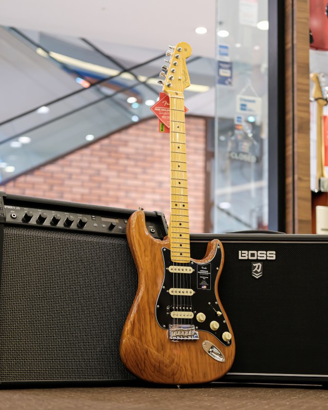Showcase Fender American Professional II Stratocaster HSS