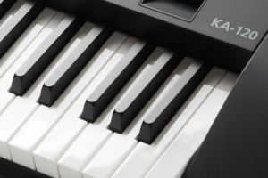 Kurzweil KA120 Keys