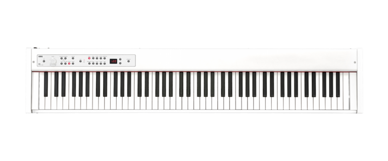 Korg D1 Digital Piano Body ขายราคาพิเศษ