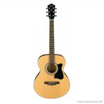 Ibanez VC50NJP ลดราคาพิเศษ