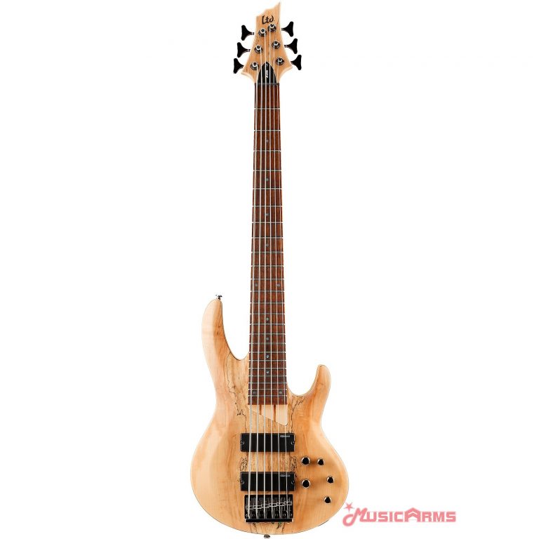 LTD B-206SM Nหน้า ขายราคาพิเศษ