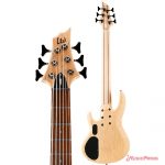 LTD B-206SM Nหลัง ขายราคาพิเศษ