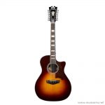 D’Angelico-DAPG212 ลดราคาพิเศษ