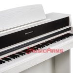 Kurzweil CUP410 ใกล้ ขายราคาพิเศษ