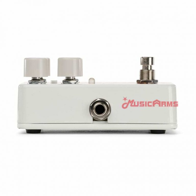 Electro-Harmonix Canyon Delay & Looper เอฟเฟคกีตาร์ ขายราคาพิเศษ