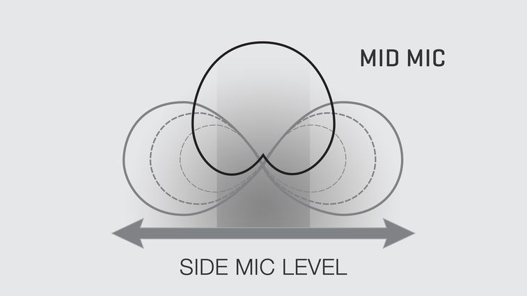 Side mic level