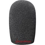 Aston Starlight Windscreen-01 ขายราคาพิเศษ