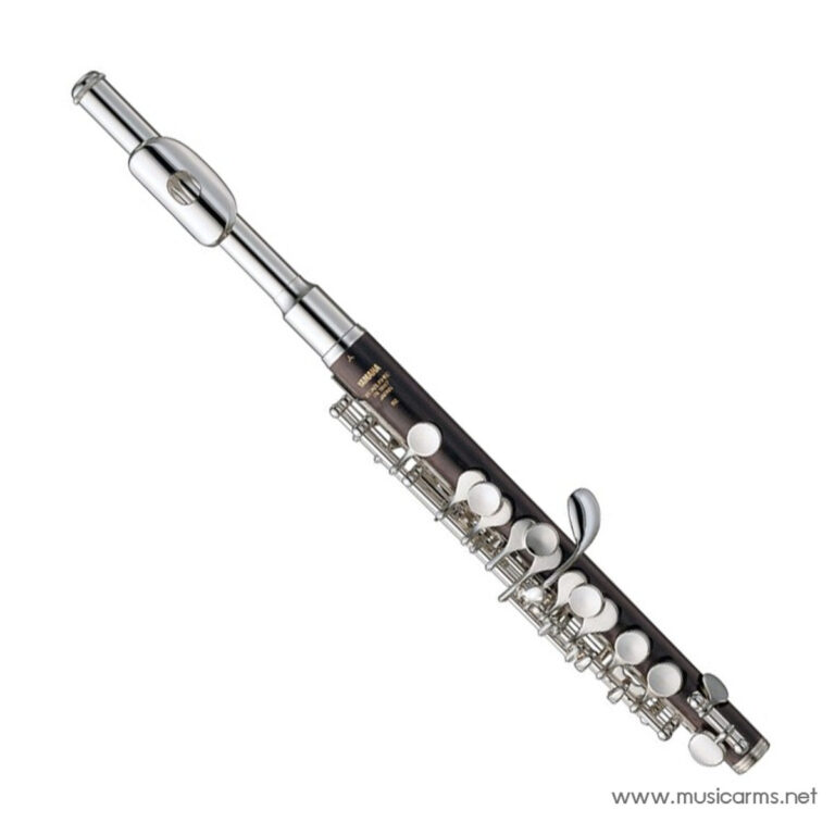 Black wood clarinet with silver keys and mouthpiece cap, shown diagonally from mouthpiece to bell, instrument for woodwind music. ขายราคาพิเศษ