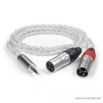 IFI AUDIO 4.4XLR cable-01 ลดราคาพิเศษ