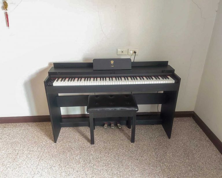 Coleman F201 ลูกค้า Music Arms