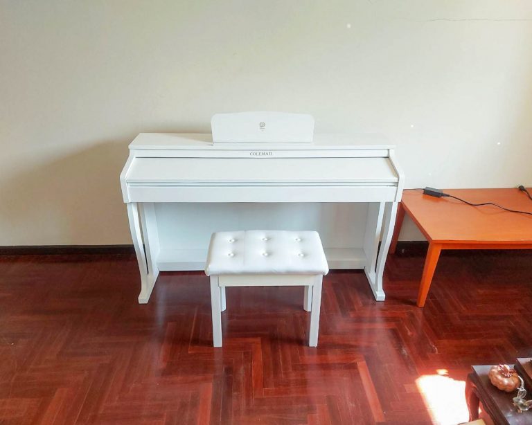 Coleman F301BT ลูกค้า Music Arms