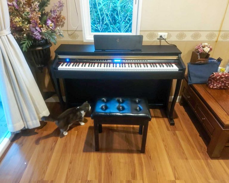 Coleman F401BT ลูกค้า Music Arms