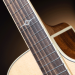 Alvarez-AG60CE-fret-s ขายราคาพิเศษ