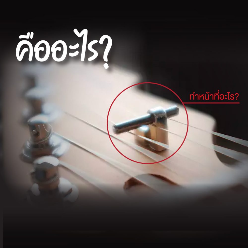 String Trees [สตริง ทรี] คืออะไร ? | Music Arms ศูนย์รวมเครื่องดนตรี ...