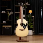 Acoustic guitar on a wooden stand in a showroom with a Marshall amplifier and decorative plants in the background ลดราคาพิเศษ