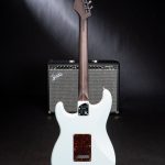 Fender American Professional II Stratocaster Rosewood Neck Limited Edition Back ขายราคาพิเศษ