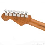 Fender-Player-Stratocaster ขายราคาพิเศษ