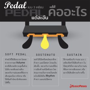 Pedal แบบ 3 เหยียบ แต่ละอันคืออะไร ใช้งานแบบไหนราคาถูกสุด