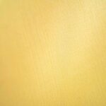 Evans SS14MX5 ขายราคาพิเศษ