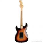 Fender Player Stratocaster 3 Tone Sunburst Gold Hardware Limited Edition ด้านหลัง ขายราคาพิเศษ
