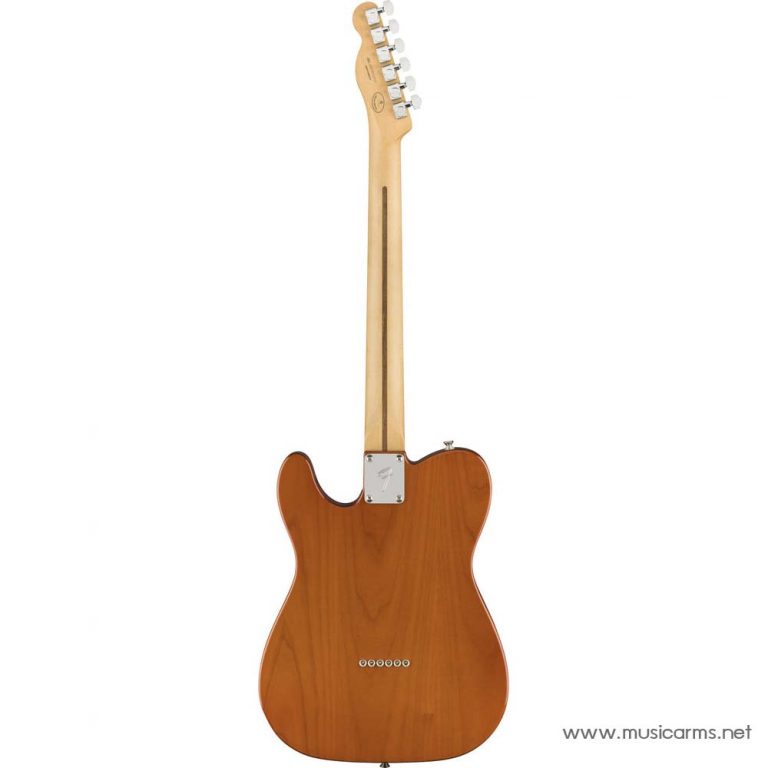 Fender Player Telecaster Aged Natural Limited Edition ด้านหลัง ขายราคาพิเศษ