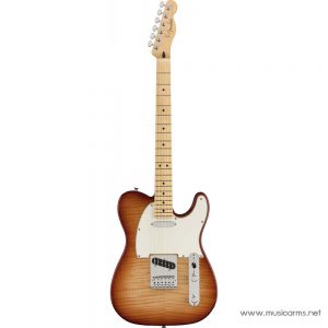 Fender Player Telecaster Plus Top Sienna Sunburst Limited Edition กีตาร์ไฟฟ้าราคาถูกสุด