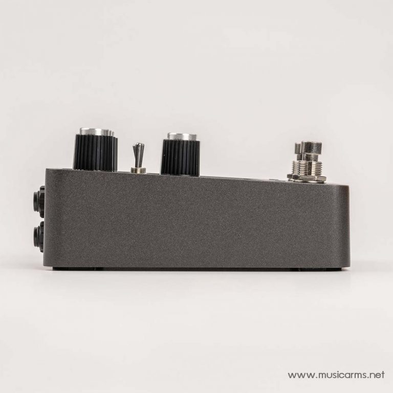 Universal Audio Dream '65 Reverb Amplifier ด้านข้าง ขายราคาพิเศษ