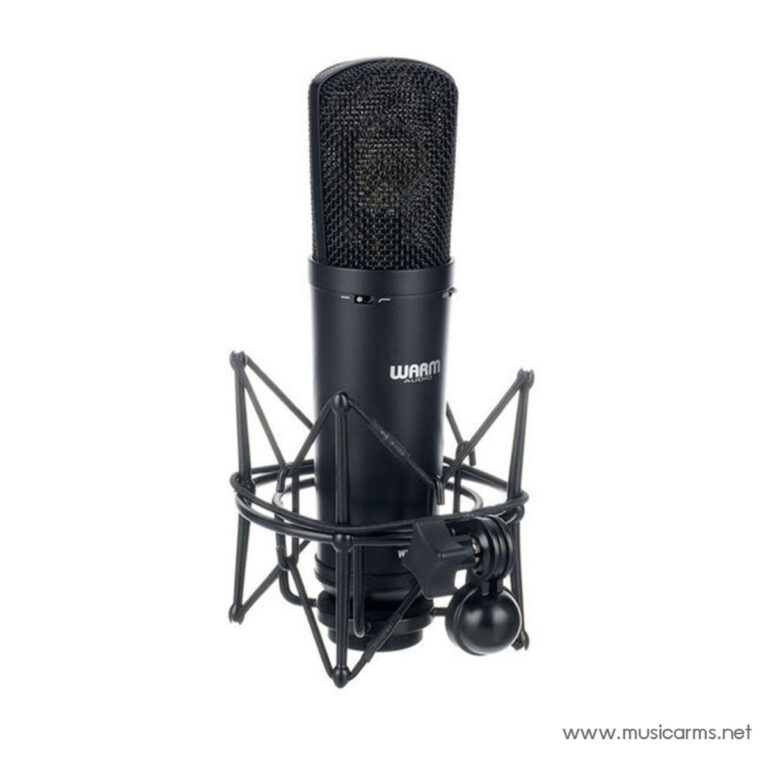 Warm Audio WA-87 R2 ไมโครโฟนคอนเดนเซอร์ ขายราคาพิเศษ