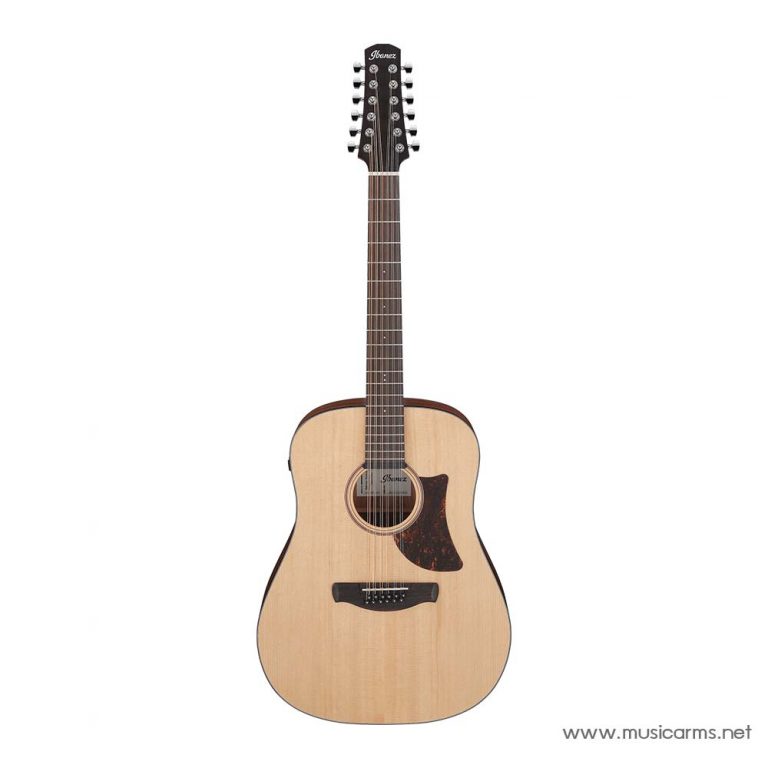 Ibanez AAD1012E ขายราคาพิเศษ