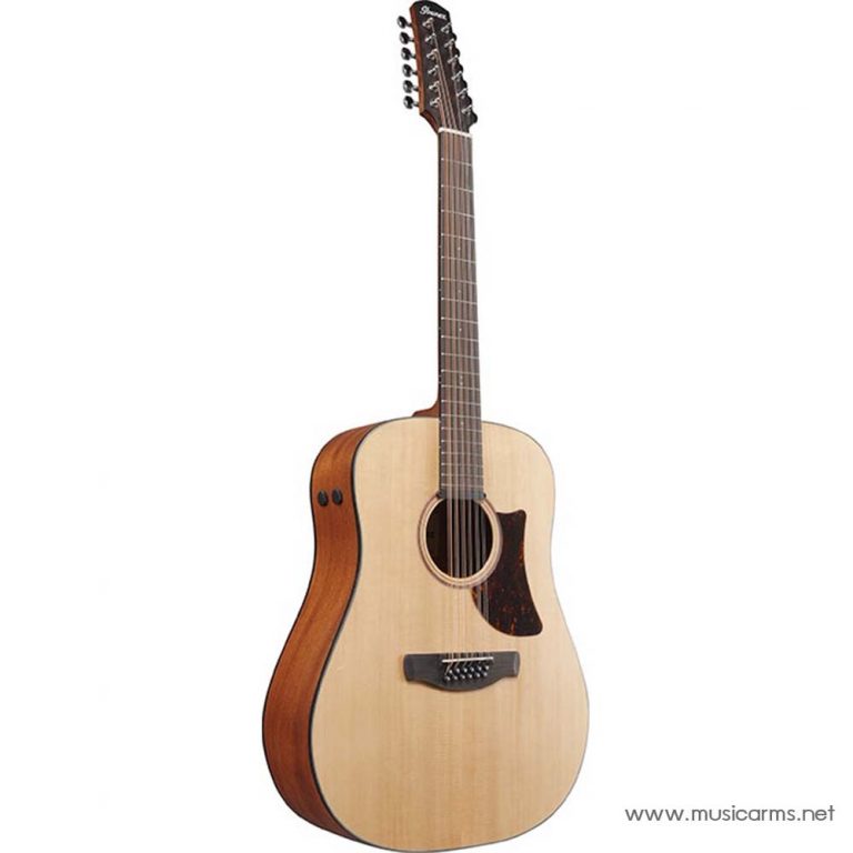 Ibanez AAD1012E side ขายราคาพิเศษ