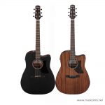 Ibanez-AAD190CE ลดราคาพิเศษ