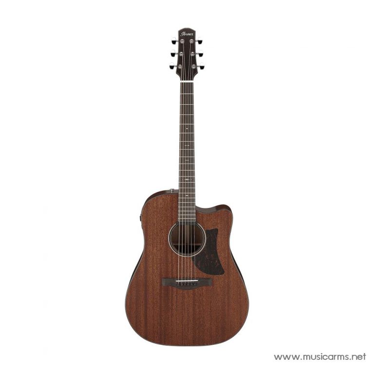 Ibanez AAD440CE ขายราคาพิเศษ