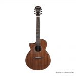 Ibanez AE295L ลดราคาพิเศษ