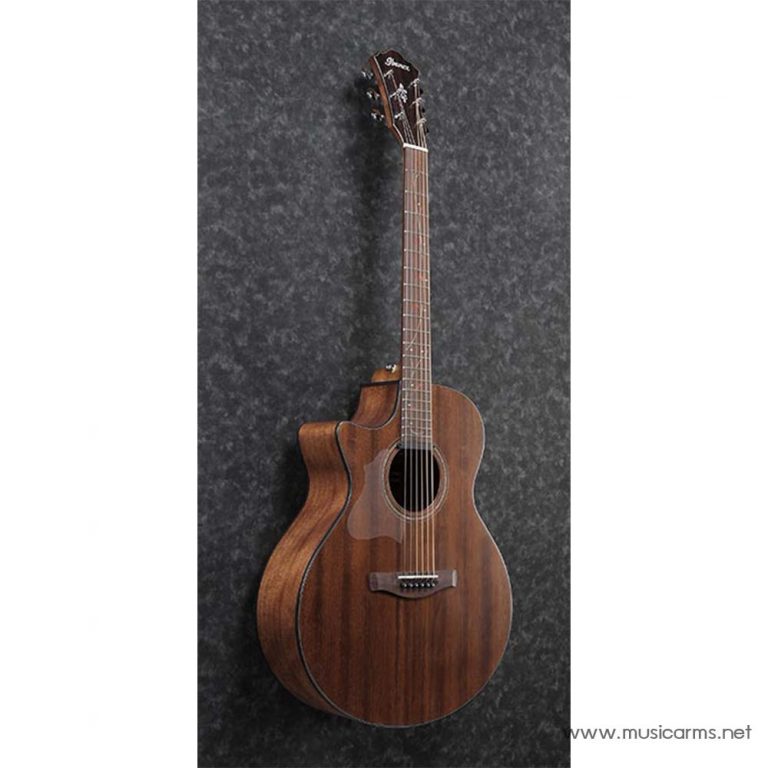 Ibanez AE295L side ขายราคาพิเศษ