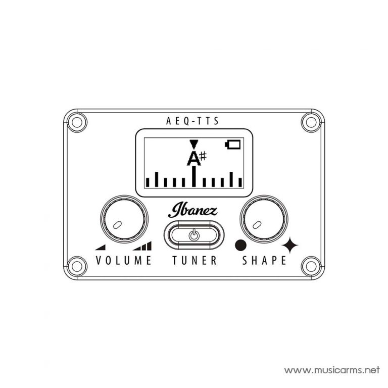 Ibanez AEG220 control ขายราคาพิเศษ
