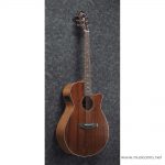 Ibanez AEG220 side ขายราคาพิเศษ