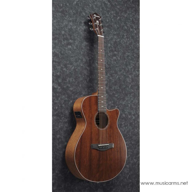 Ibanez AEG220 side ขายราคาพิเศษ