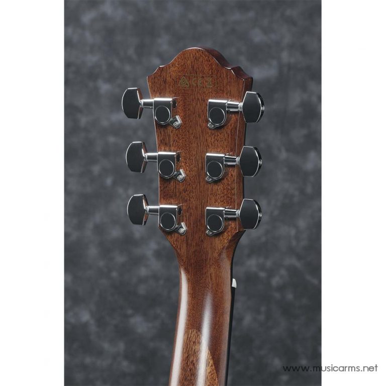 Ibanez AEG220 tuner ขายราคาพิเศษ