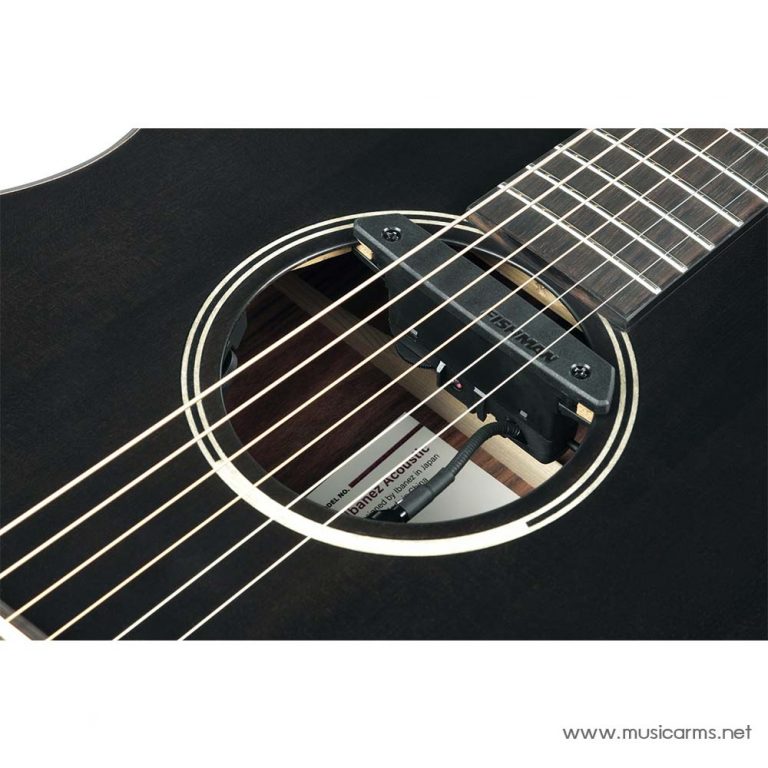 Ibanez JGM5 soundhole ขายราคาพิเศษ