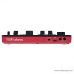 Roland Aira Compact E-4 Voice Tweaker input ขายราคาพิเศษ